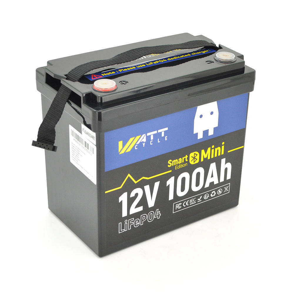 Аккумуляторная батарея WattCycle LiFePO4 WT12V100AH100MINIBT Bluetooth 12,8V 100Ah, 1,28kWh, BMS50A@4S, 6000 cycles, 229x138x208, 9.5kg